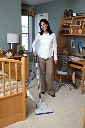 Turbocat air powered powerhead deepsweep brush roller illustrates deep-cleaning potential.