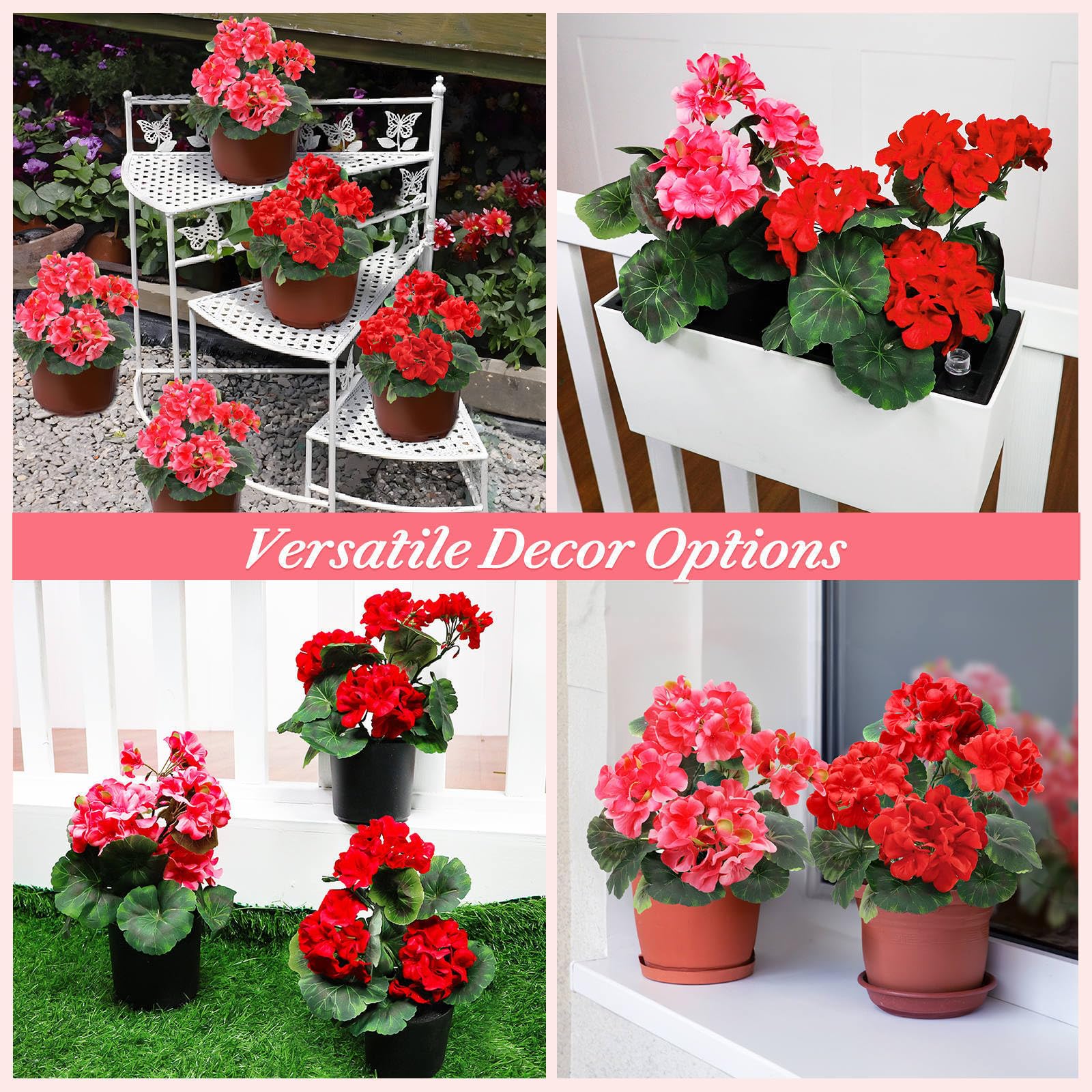TURNMEON geraniums in compact 3.7 by 3.5 inch pots for versatile placement.