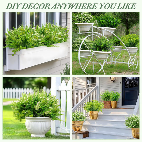 TURNMEON boxwood bundle brings compact, classic greenery for patio borders.