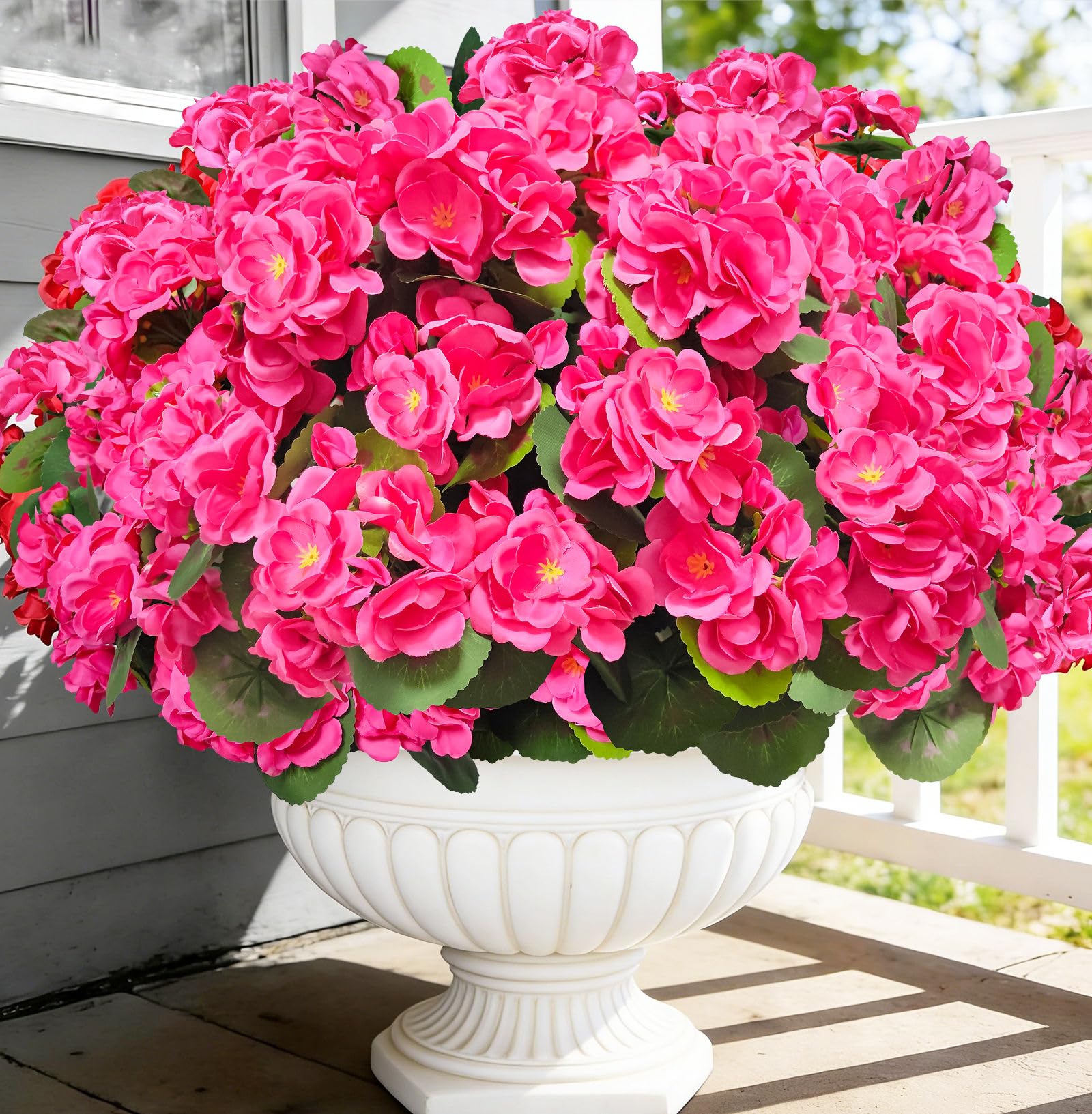 TURNMEON geraniums ideal for weddings cemeteries and seasonal displays outdoors