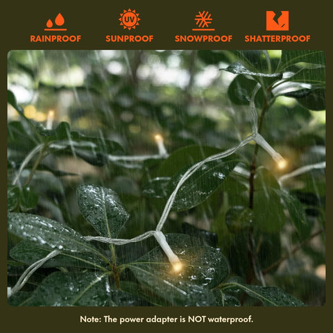Twinkle Star warm white LEDs creating cozy ambiance for home or venue