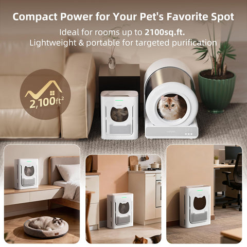 uahpet Pet Air Purifier near litter box for targeted purification