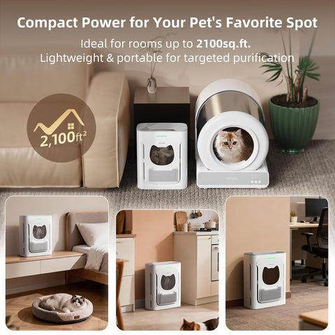 uahpet Pet room placement near litter box showing targeted purification