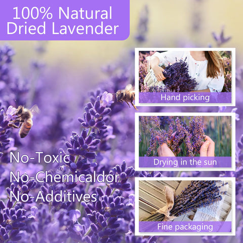 Uieke dried lavender buds close-up highlighting natural color and delicate scent