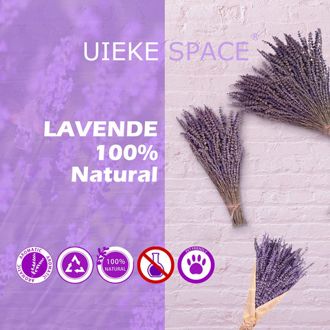 Uieke lavender bundles with 560 stems provide full, lush display