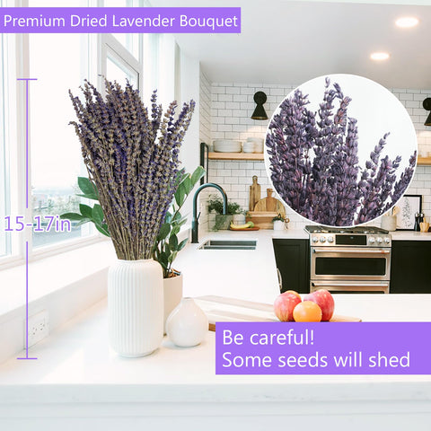 Uieke lavender used in living room decor for a cozy, inviting atmosphere