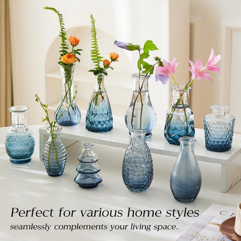 Ulodimi clear glass bud vase small stem display highlights blooms