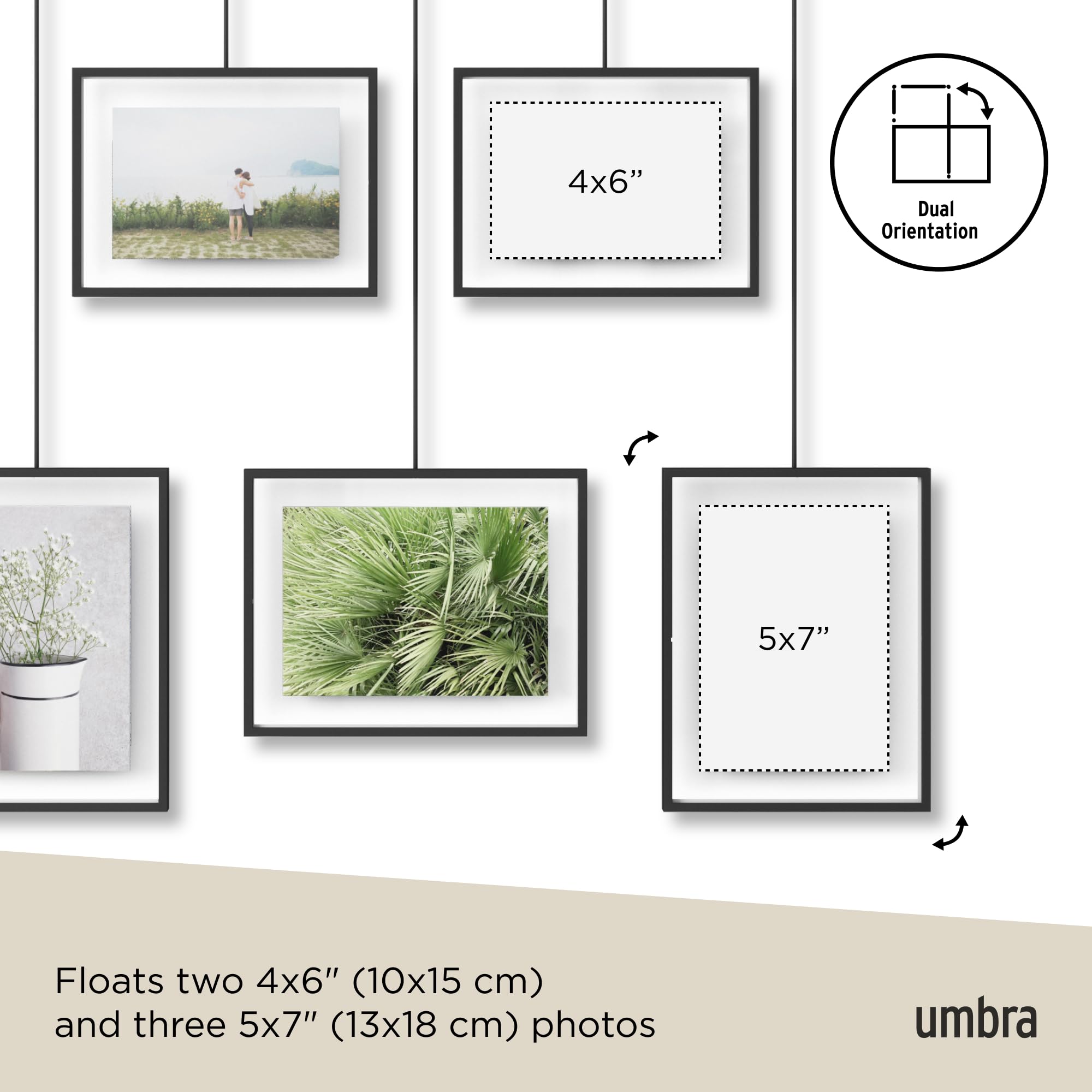 Umbra Exhibit wall-display featured in a living room with contemporary decor