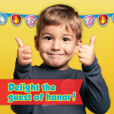 Unique Paw Patrol party decorations kit showcasing coordinated, easy setup.