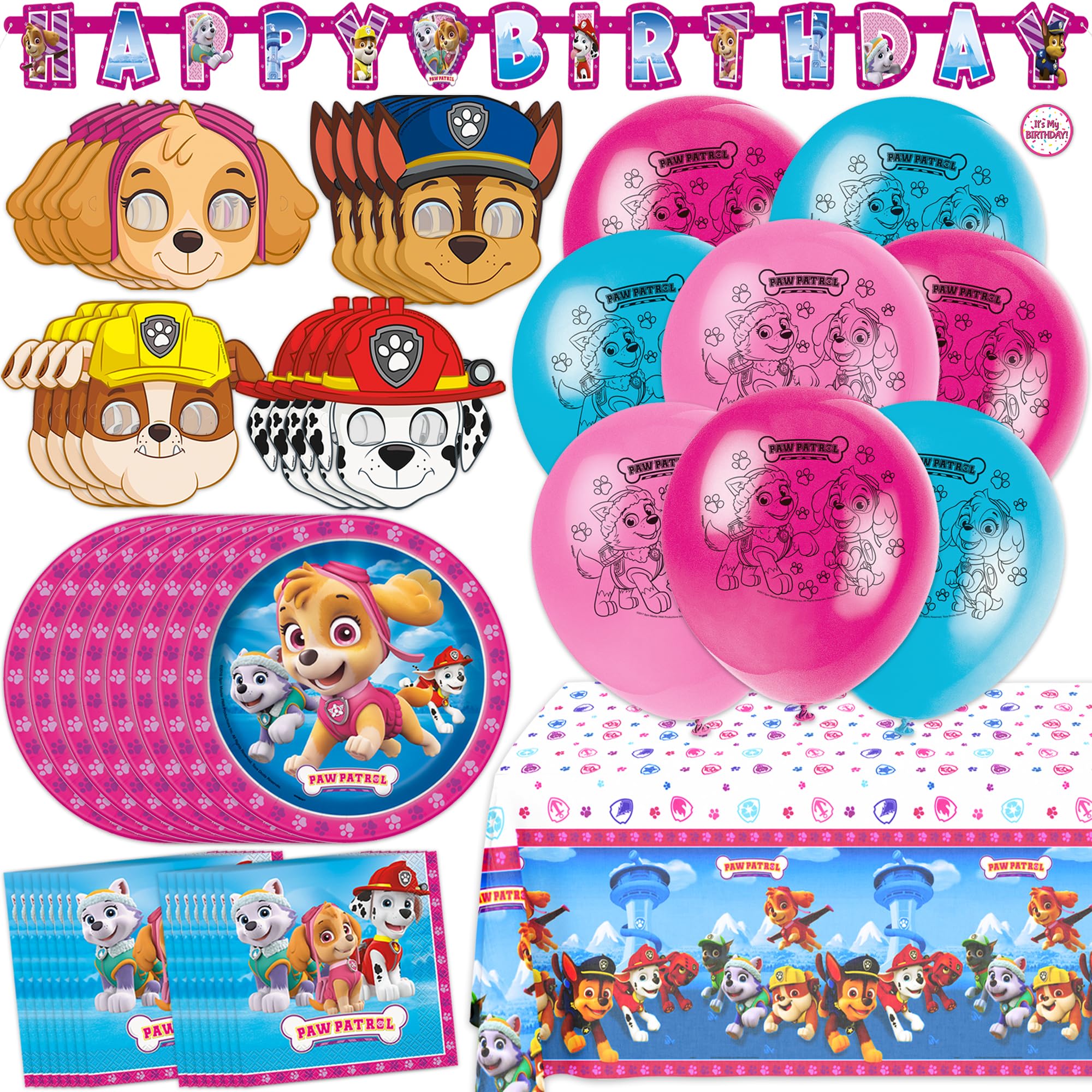 Unique Skye Paw Patrol banner decor for a birthday party backdrop.