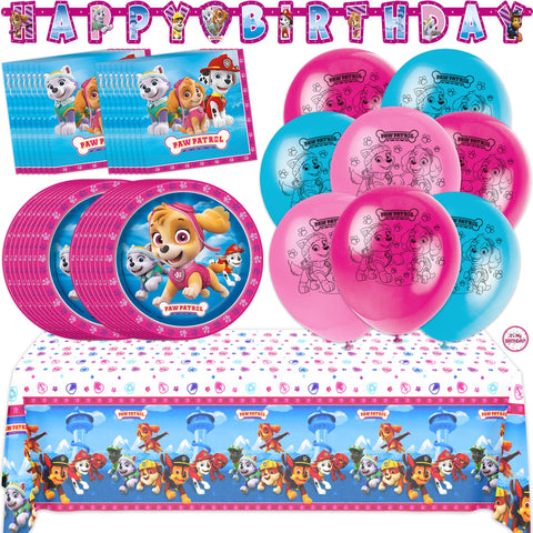 Unique Skye Paw Patrol banner decorates the party space for a heroic birthday.