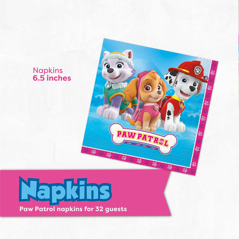 Unique Skye Paw Patrol decorations kit for quick setup