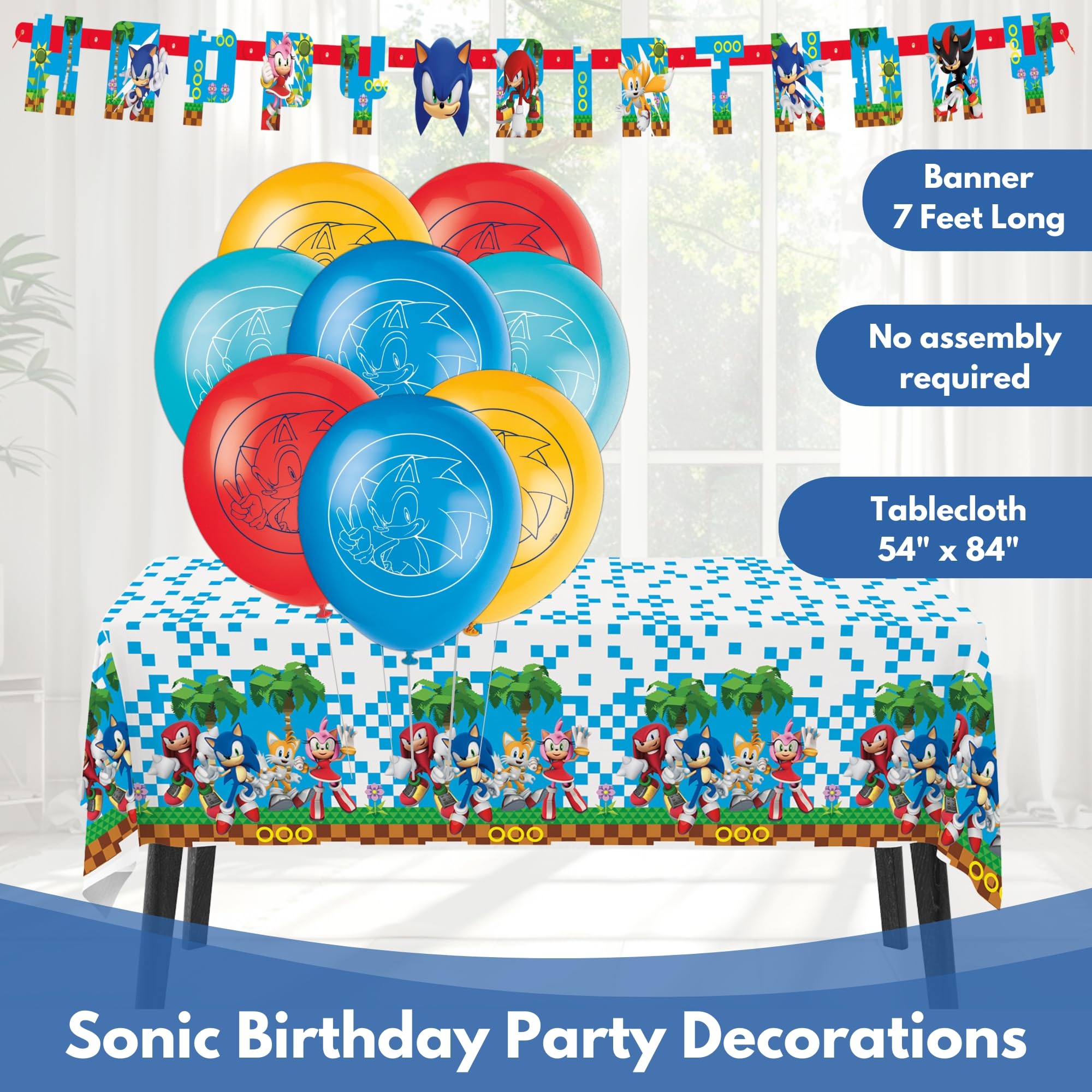 Unique Sonic banner brightens the party space for photos and cake moments.