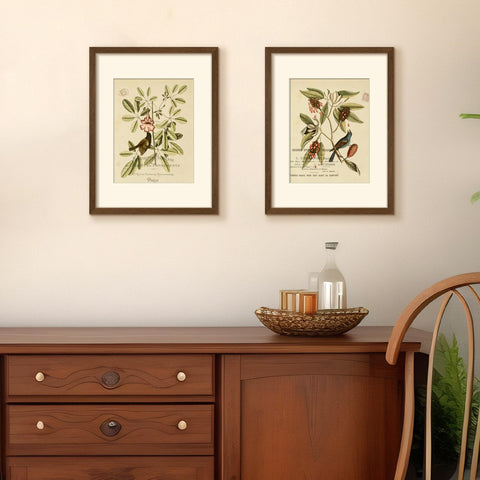 upsimples five-piece collage frames brown shown as a uniform display