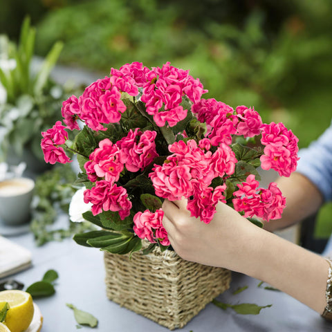 Uqueeten easy-care flowers require no watering or pruning.