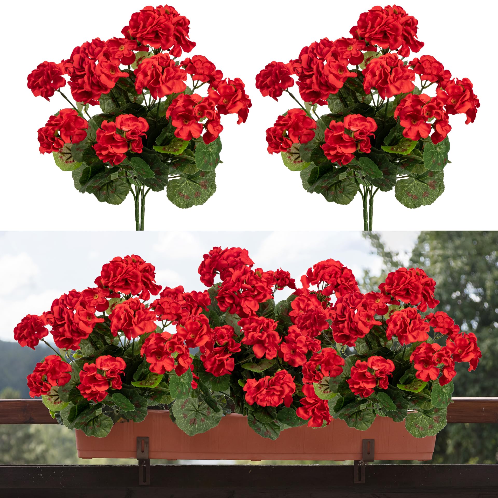 Uqueeten geranium outdoor branch closeup highlighting vibrant red blooms for porch decor.