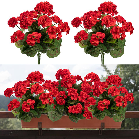 Uqueeten geranium outdoor branch closeup highlighting vibrant red blooms for porch decor.