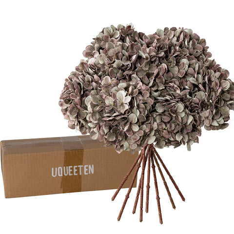 Uqueeten packaging arrival care arrangement suggests easy care after unpacking.