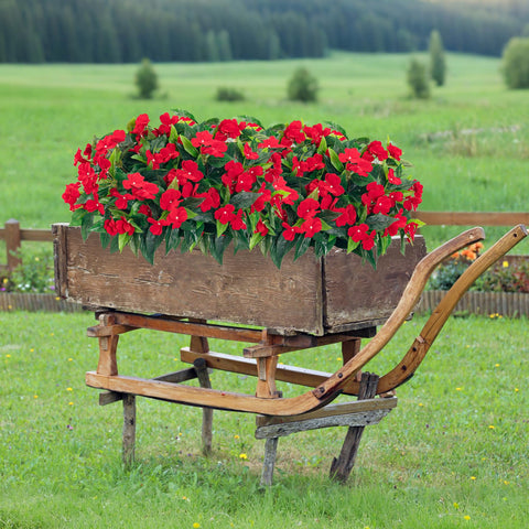 Uqueeten vase-ready impatiens bouquet fits standard decor