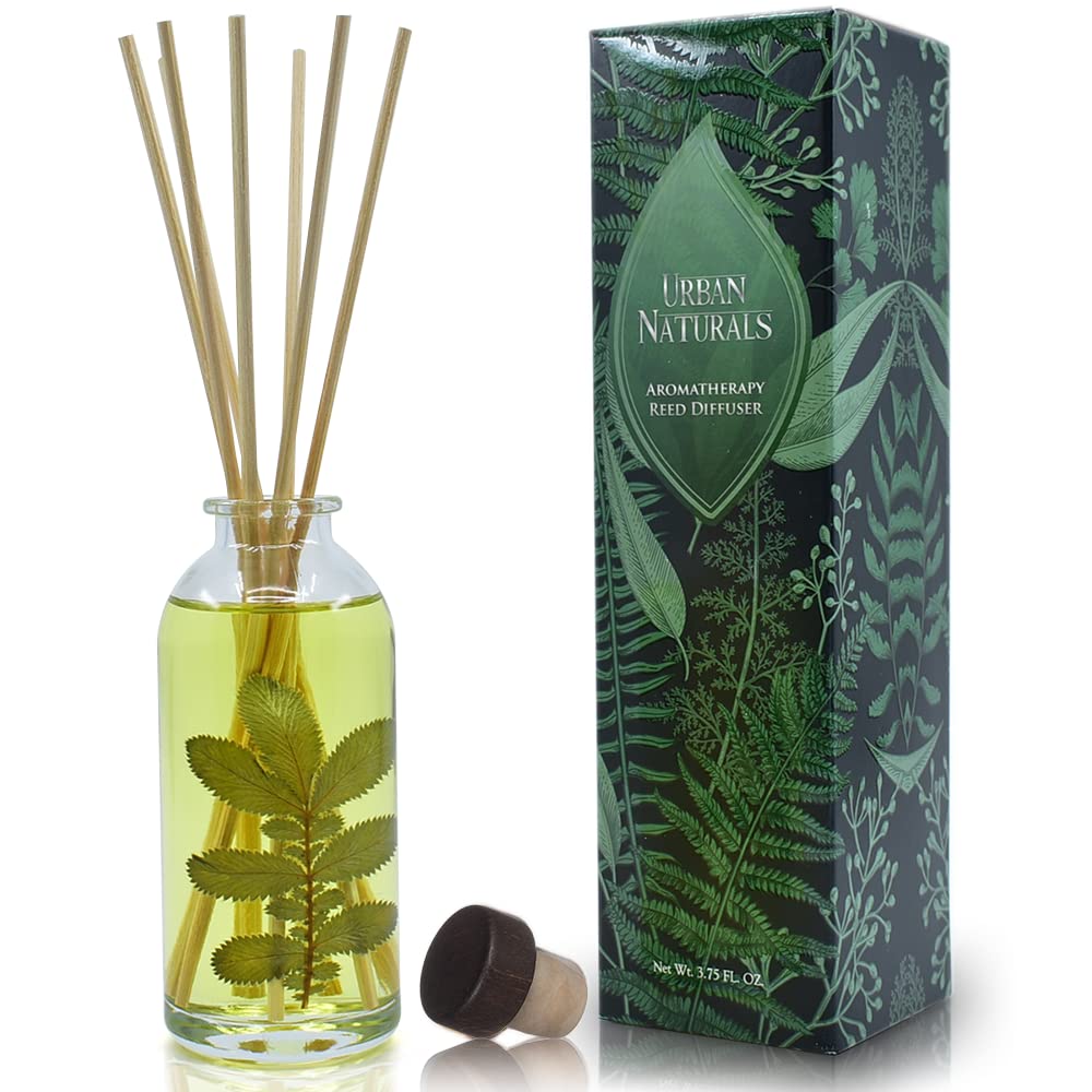 Urban Naturals Eucalyptus Sage diffuser bottle in gift box creates a calming living room ambiance.