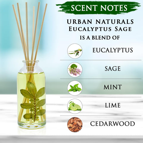 Urban Naturals Eucalyptus Sage scent packaging shown with reeds for easy setup.