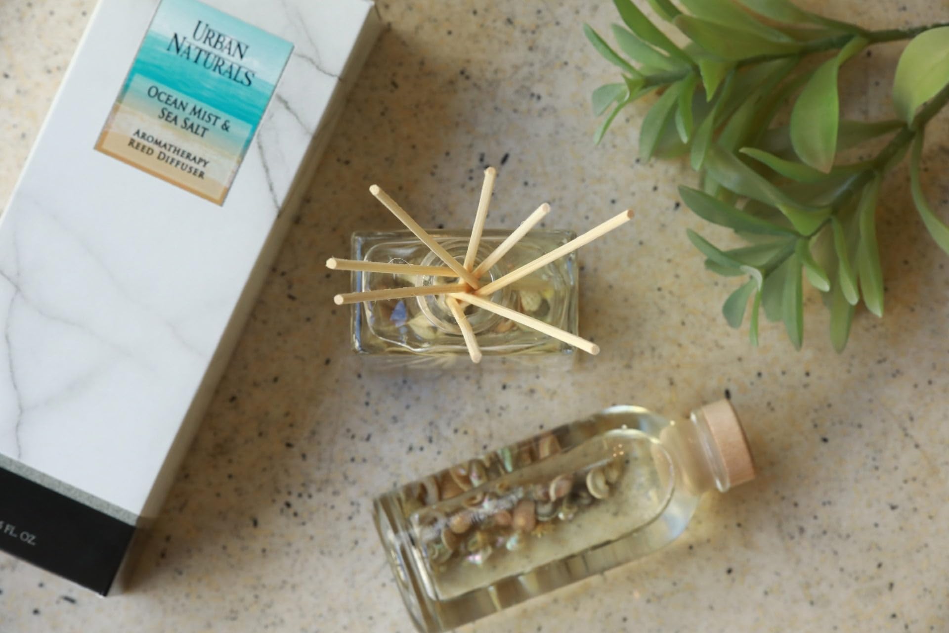 Urban Naturals glass bottle and reeds close-up showing long-lasting fragrance diffusion