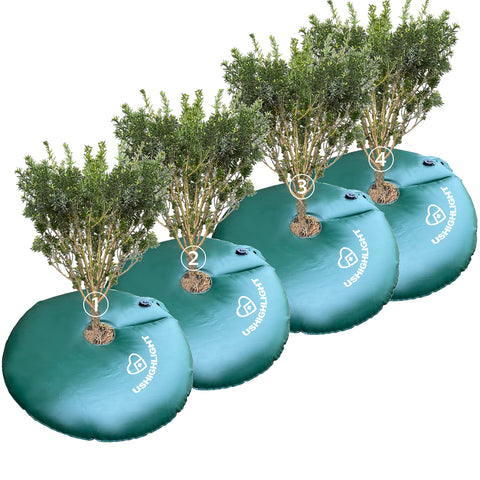 USHIGHLIGHT 4-pack tree watering ring surrounding a trunk for even moisture delivery