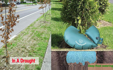USHIGHLIGHT 6-inch tree capacity for deep root watering