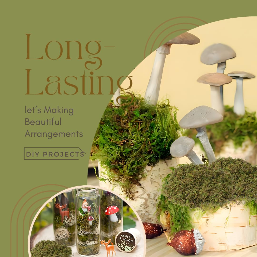 USMOLA moss for fairy gardens provides realistic ground cover detail.