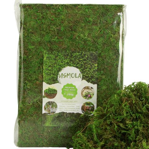 USMOLA fake moss for potted plants adds natural texture to indoor displays.