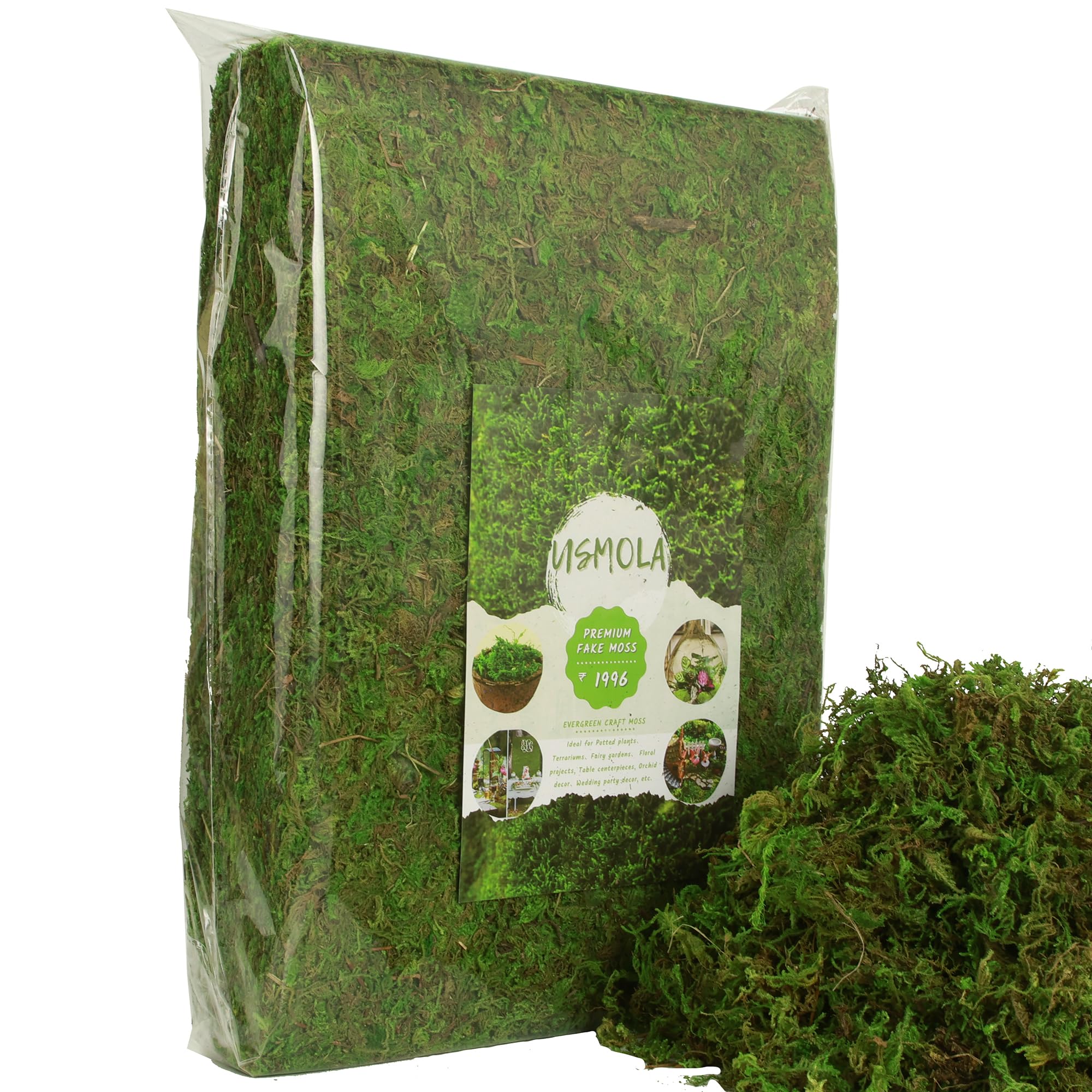 USMOLA faux moss for terrariums creates lush miniature landscapes.