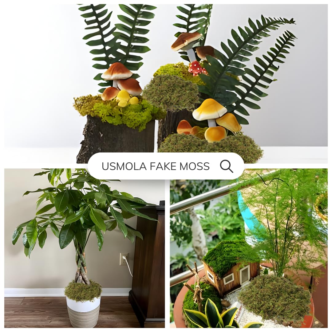USMOLA moss accents for wreath projects and quick crafts.