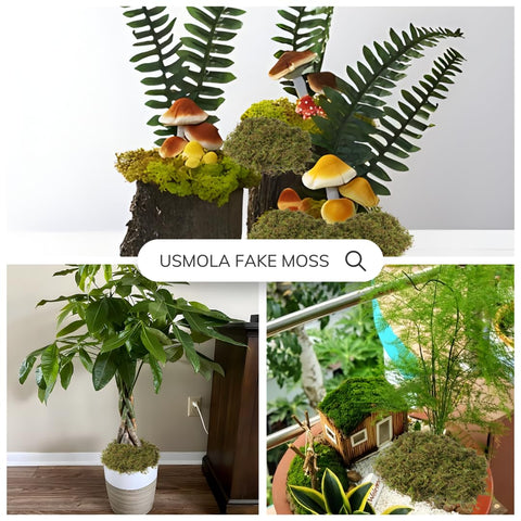USMOLA moss accents for wreath projects and quick crafts.