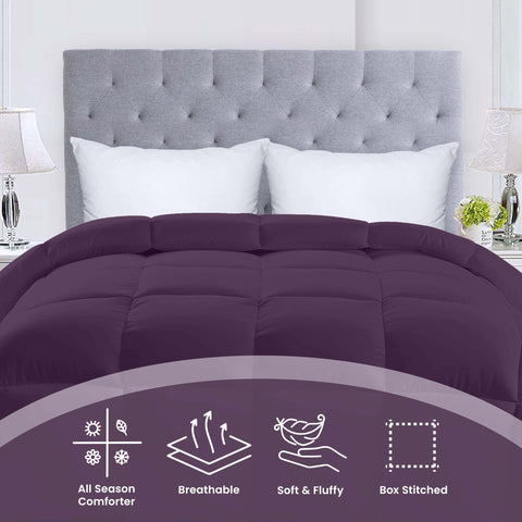 Utopia Bedding box-stitch plum comforter highlights crisp piped edges and secure fill.