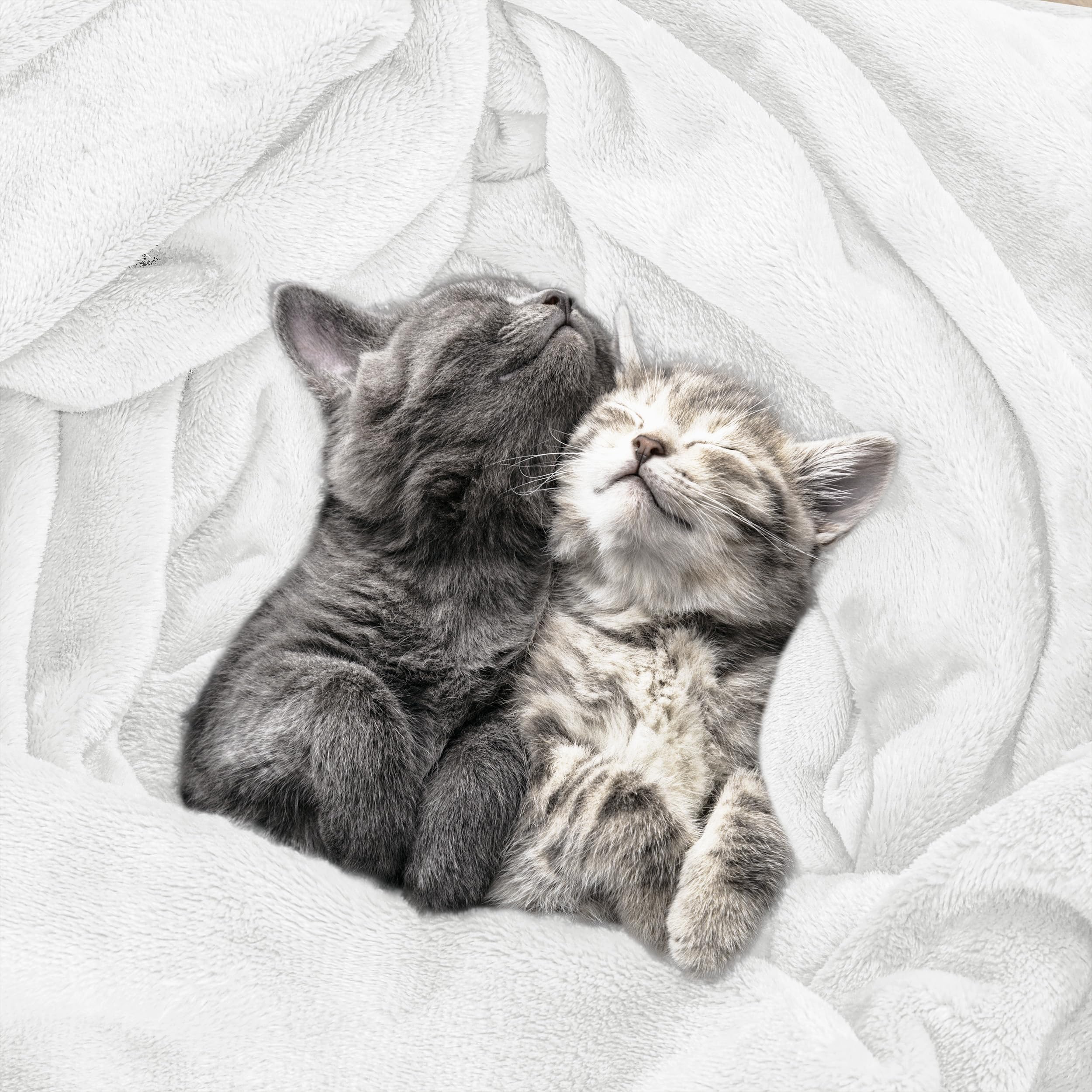 Utopia Bedding durable stitched blanket queen white, reinforced edges for lasting softness