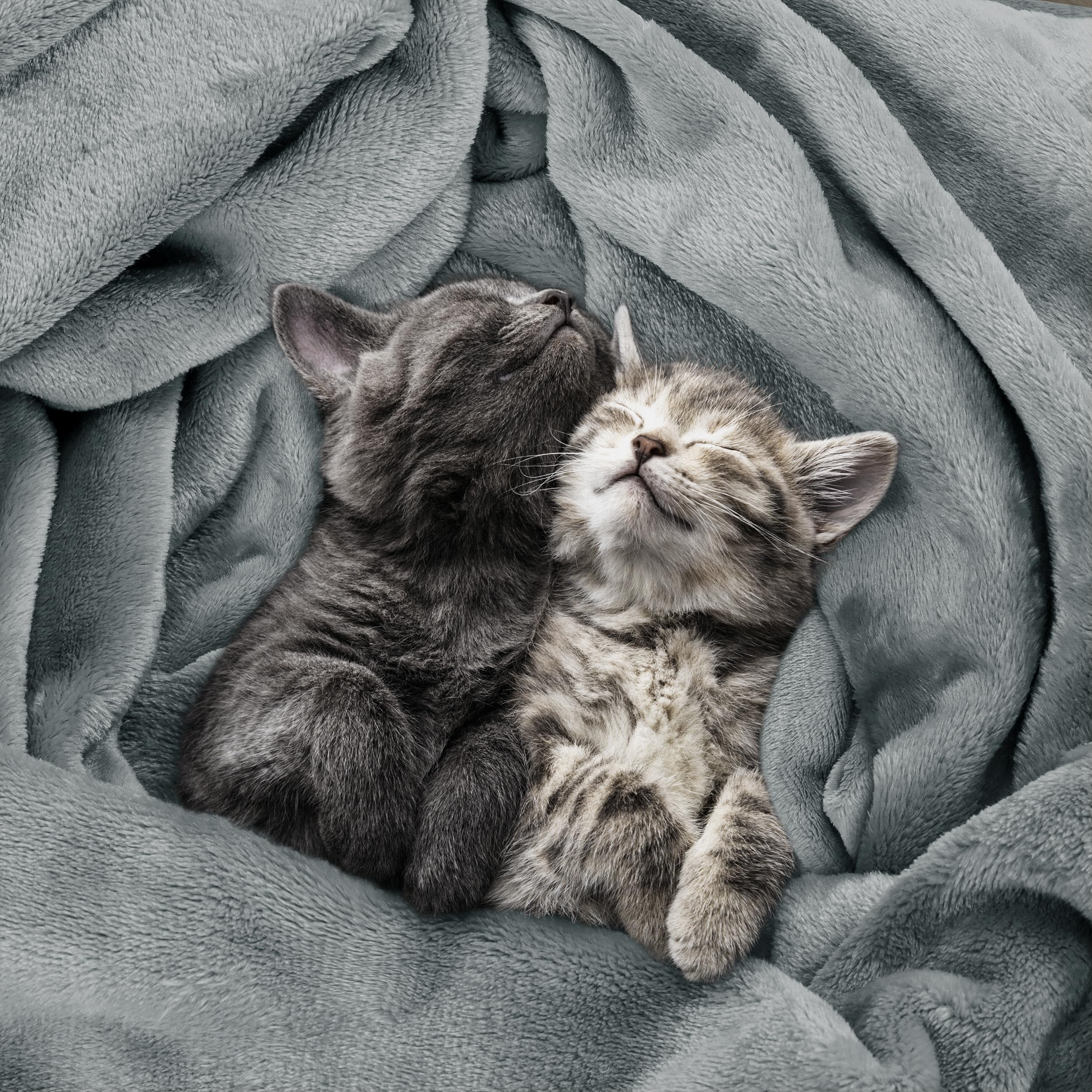 Utopia Bedding fleece blanket 1-inch hem and reinforced stitching for durable everyday use.