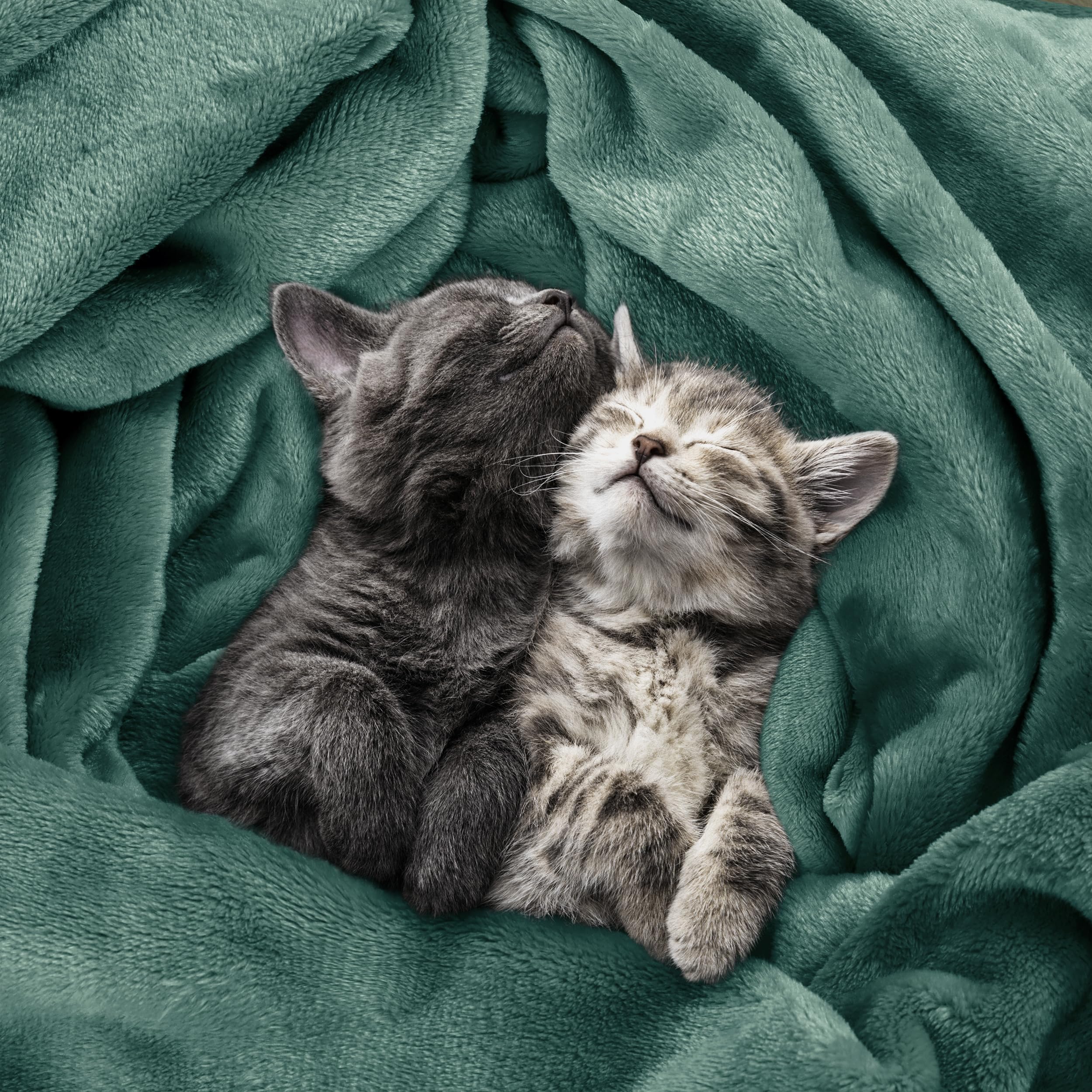 Utopia Bedding fleece blanket on couch during movie night offers extra coziness.