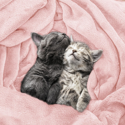 Utopia Bedding fleece blanket full-size pink draped on sofa for movie night