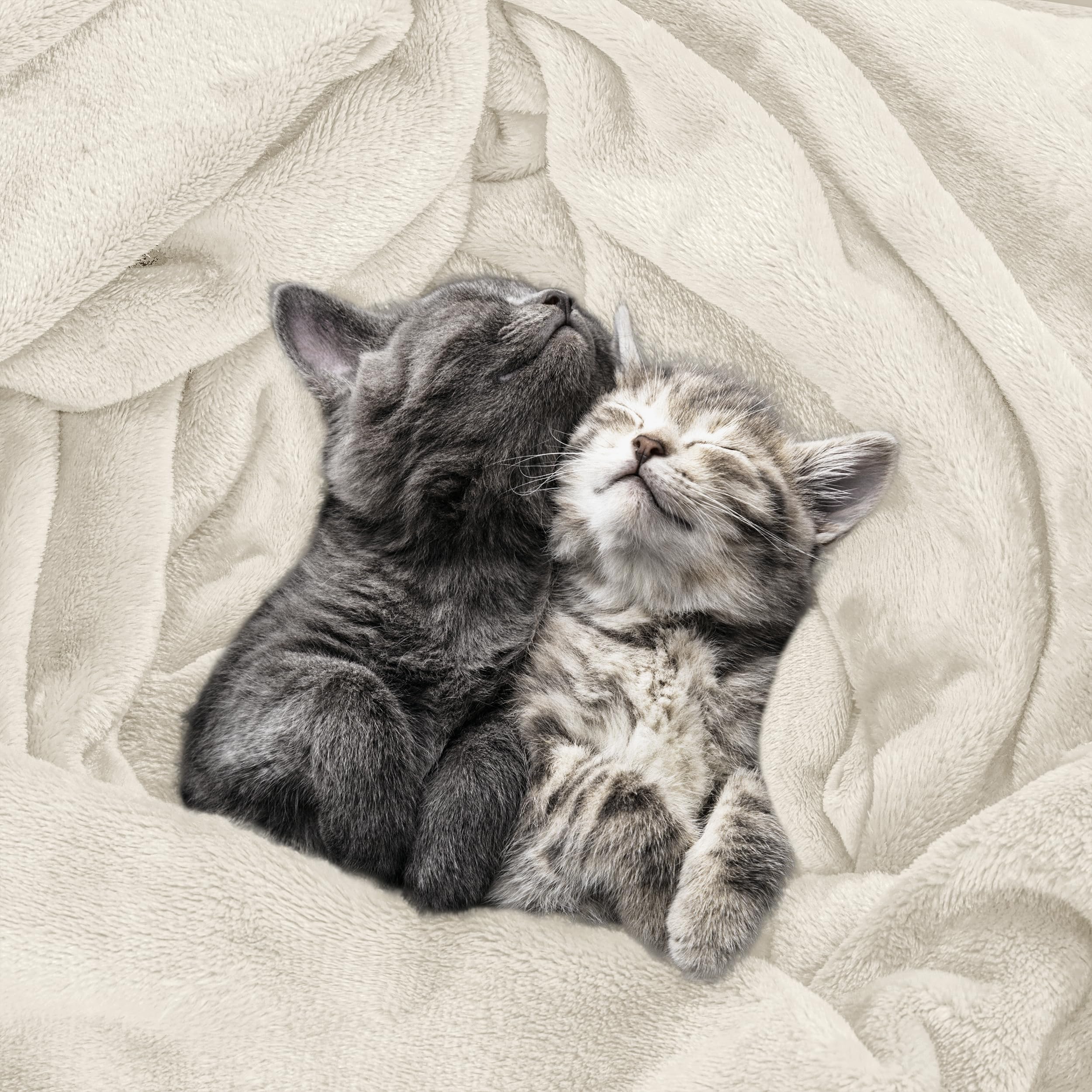 Utopia Bedding fleece blanket queen on bed ready for a cozy nap.