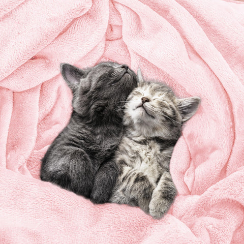 Utopia Bedding pink fleece blanket draped over a couch for movie night.