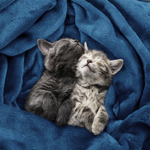 Utopia Bedding two-sided pile blanket offers durable warmth with versatile styling.