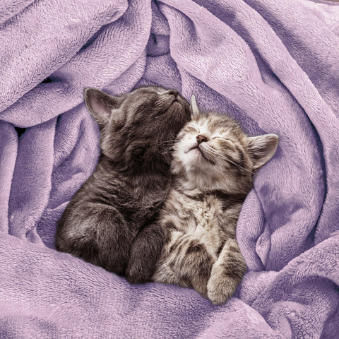 Utopia Bedding two-sided pile detail highlighting durability and plush surface.
