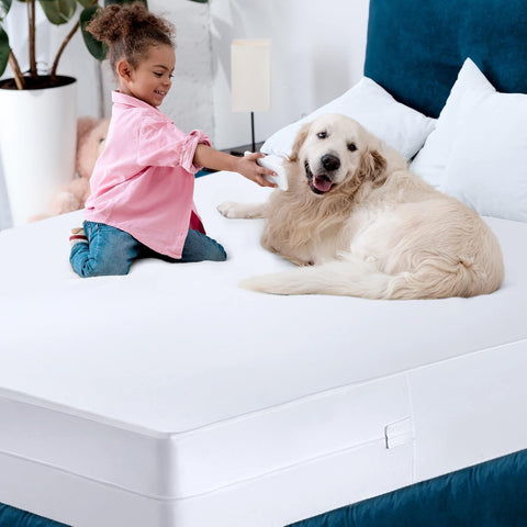 Utopia Bedding waterproof mattress encasement blocks spills and accidents