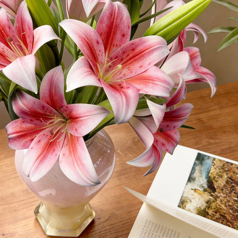 Uven Traoqq pink tiger lilies add vibrant color without maintenance.