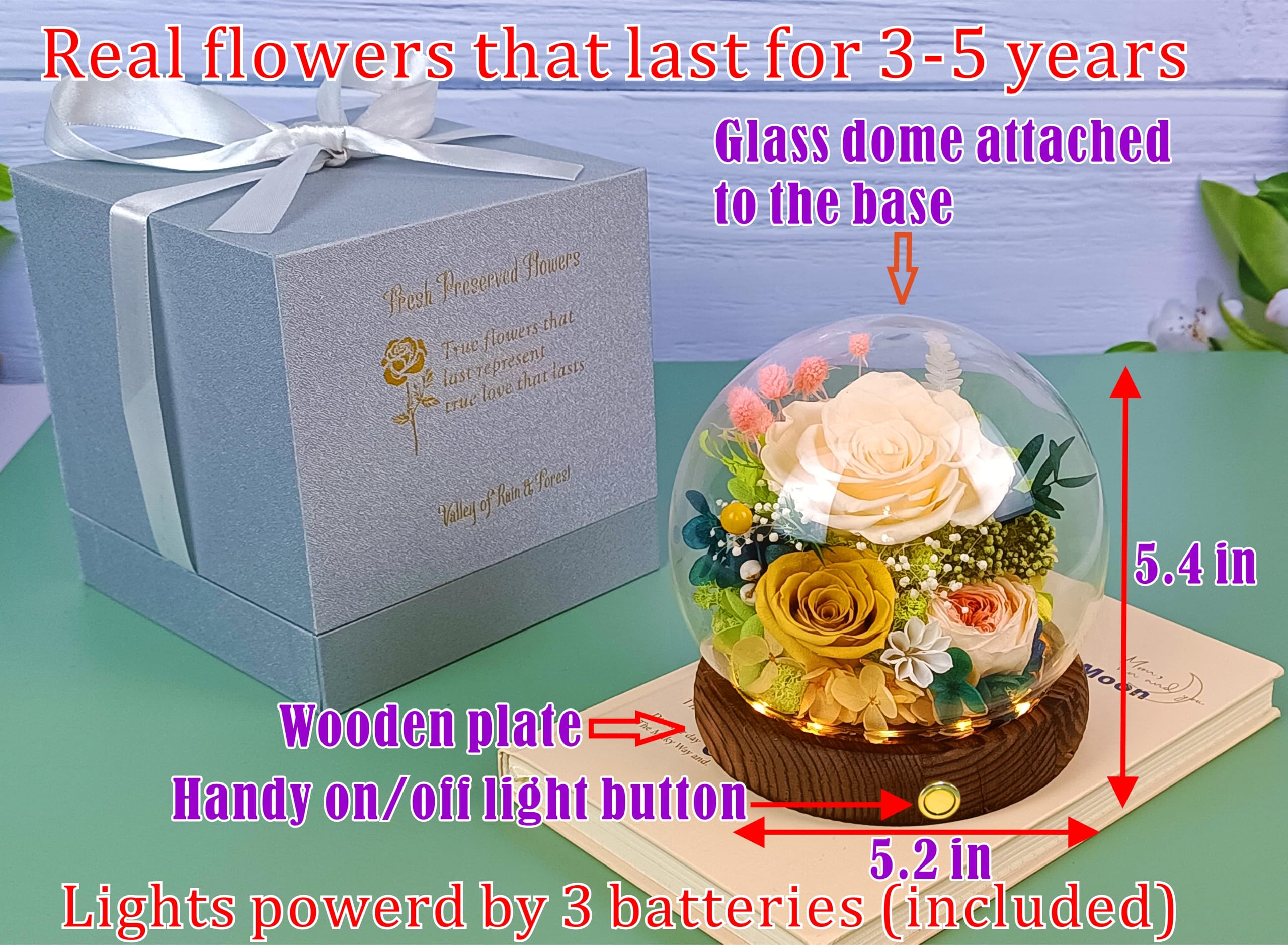 Valley of Rain & Forest lighted dome flowers, adds ambient glow to any room.