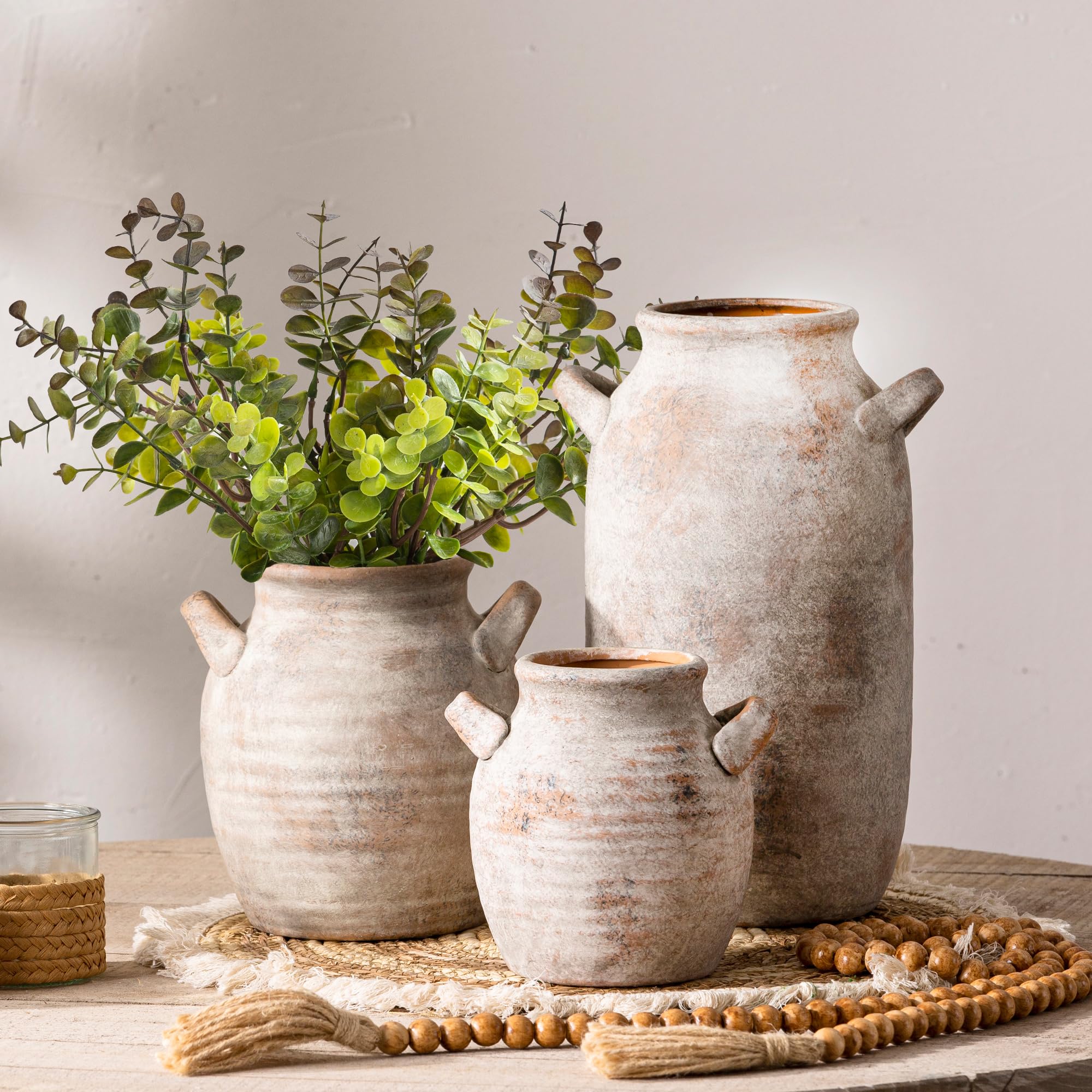 Vanselia vase with pampas grass creates a stylish centerpiece.