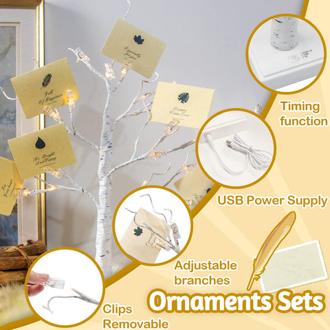 Vanthylit money tree gift holder for photos and small cards