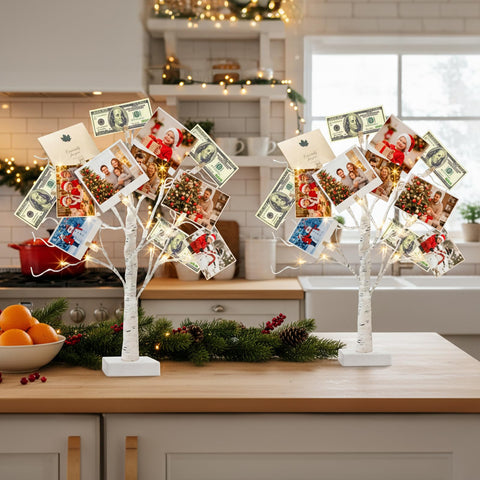 Vanthylit money tree clip and card set for photos and notes