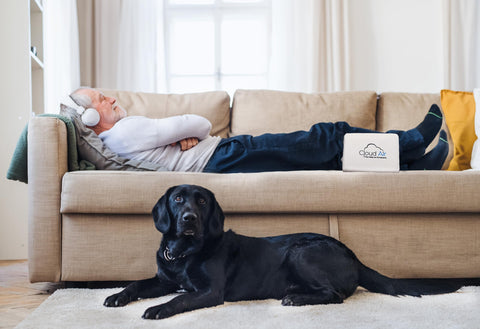 Vaunn breathable, machine-washable cover keeps pillow cool and clean.