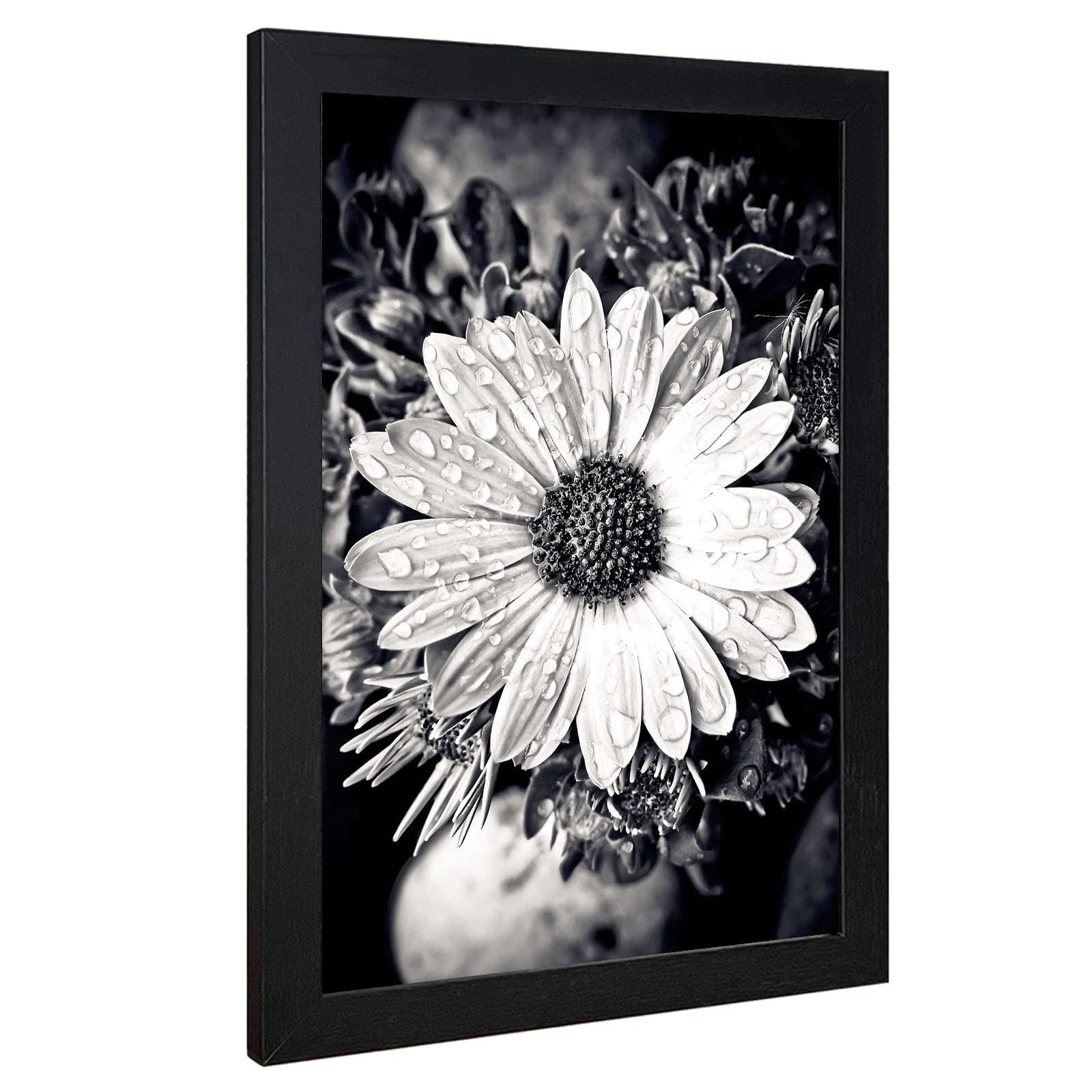 VCK anti-glare plexiglass front protects colors in bright rooms